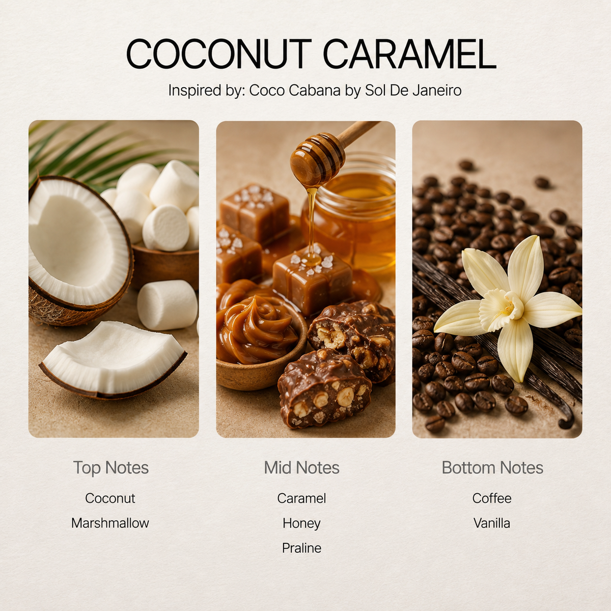Coconut Caramel scent notes chart: coconut, caramel, coffee