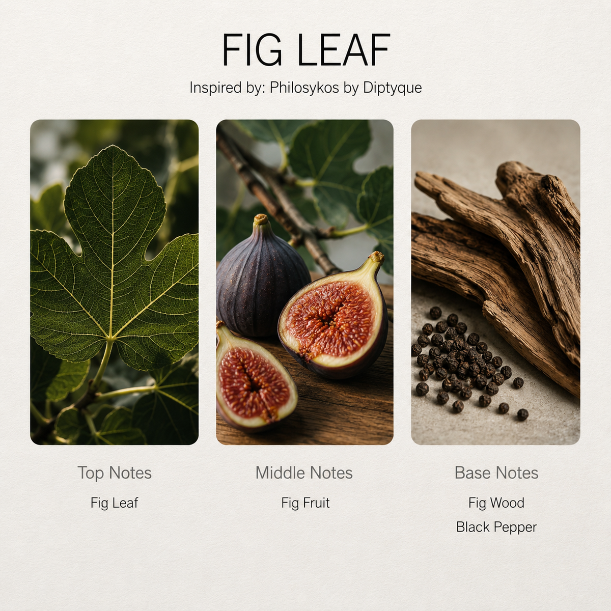 Fig Leaf scent notes chart: fig leaf, fig fruit, fig wood