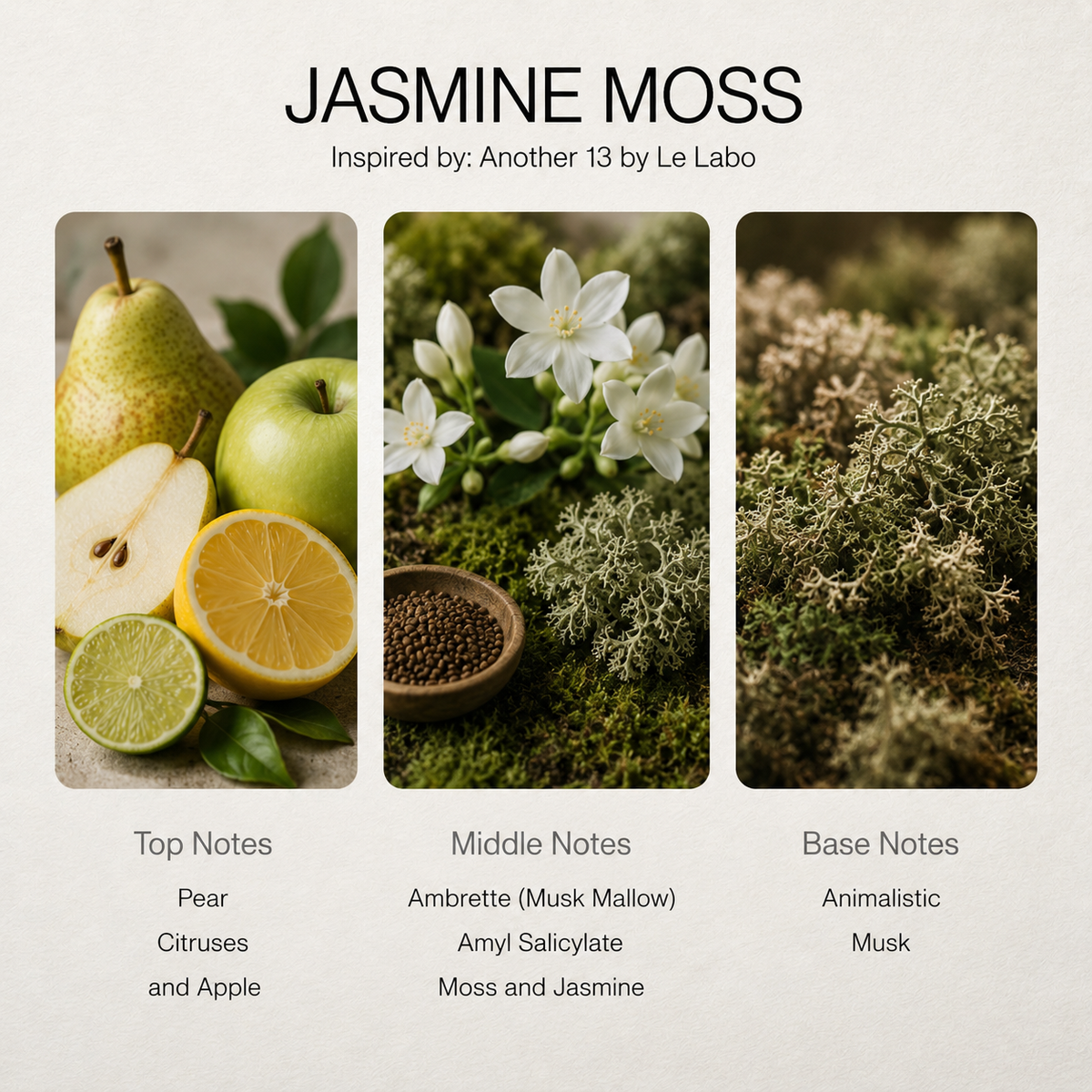 Jasmine Moss scent notes chart: pear, ambrette, animalistic musk