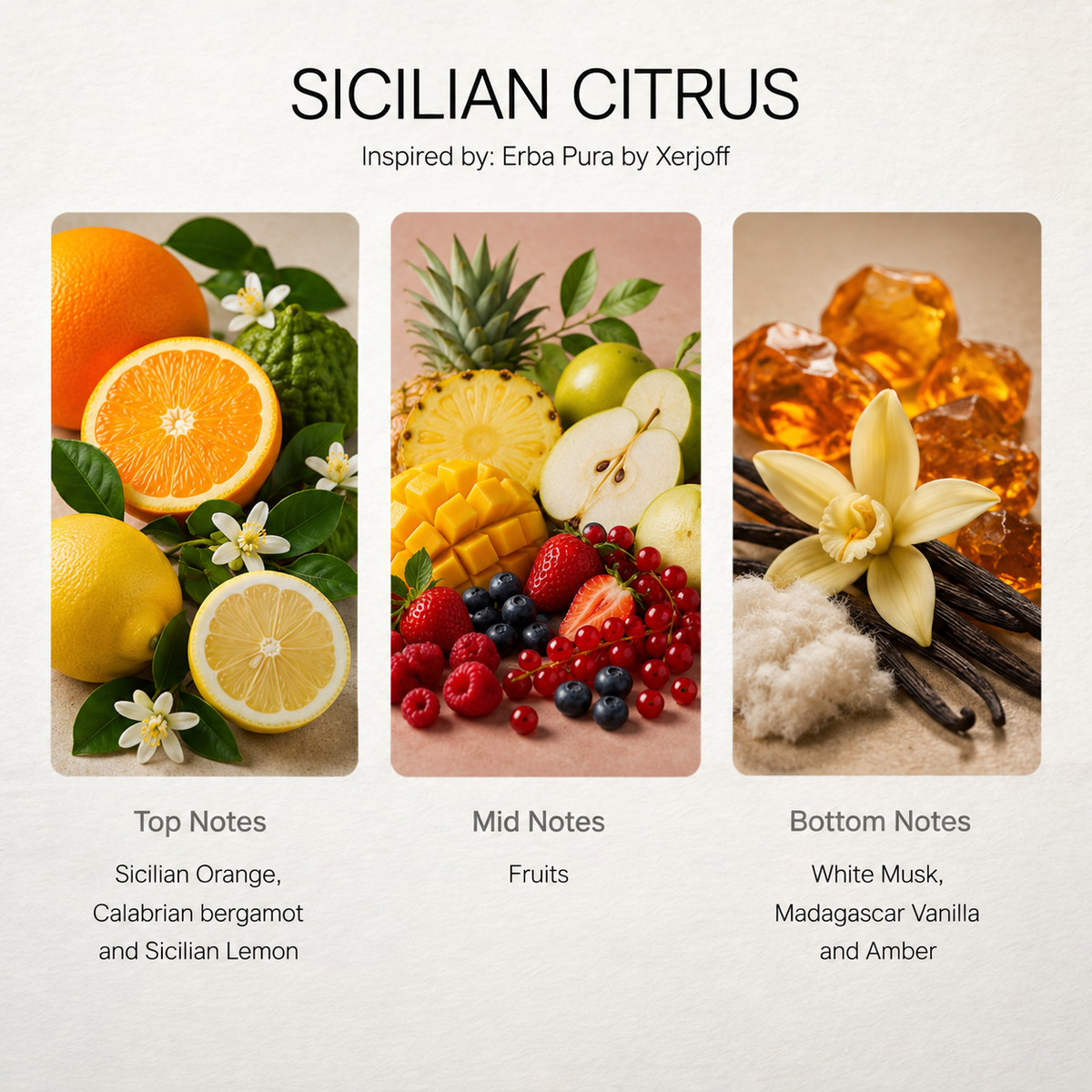 Sicilian Citrus scent notes chart: sicilian orange, fruits, white musk
