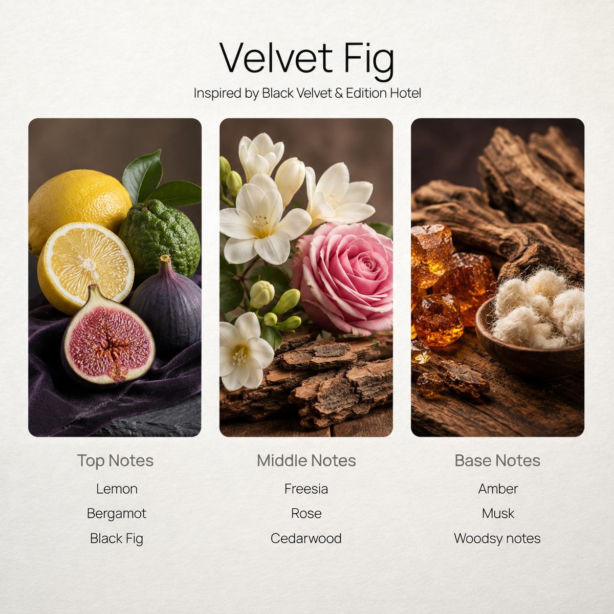 Velvet Fig scent notes chart: lemon, freesia, amber